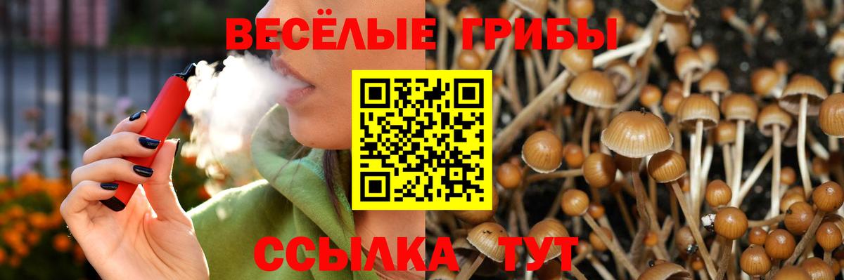 Галлюциногенные грибы ЛСД  хочу   Псилоцибиновые грибы прущие грибы  Орск  Вход с VPN 